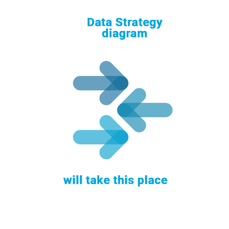 Data-Strategy-diagram-will-be-here